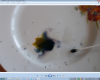 upload_2015-2-5_9-51-25.png