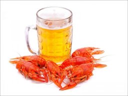 beers