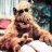 ALF