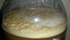 upload_2015-4-19_19-11-56.png