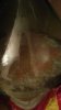 20151110_204930.jpg