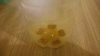 DSC_2049m.jpg