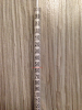 IMG_6544.png