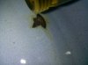 IMG_20160305_110528.jpg