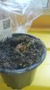 tmp_691-DSC_16031190401733.JPG