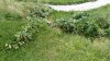 IMG_20160730_155407.jpg