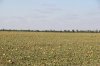 IMG_6367.JPG