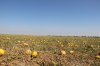 IMG_6387.JPG