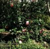 IMG_20190322_041559.jpg