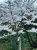 IMG_20190322_055548.jpg