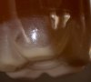 IMG_0727.jpg